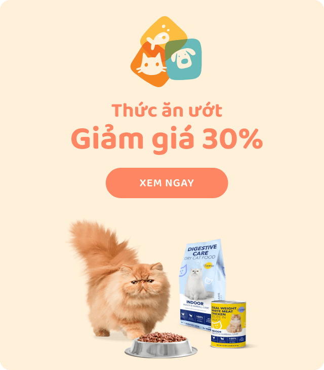 Click ngay để nhận ưu đãi hot!!