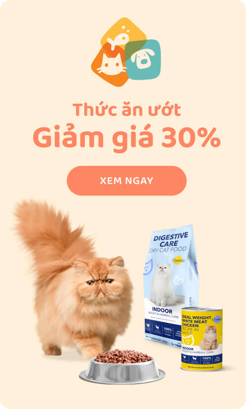 Dụng cụ làm bánh